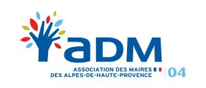 DERNIERE VERSION LOGO AMF 04