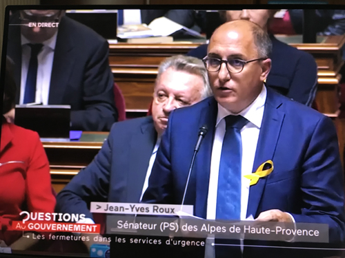 SITEDSJean-Yves Roux au Sénat_modifié-1